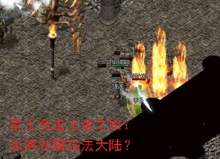 �����ϻ�����֮·������ư��귨��½��