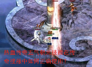 ��Ѫ����������Ԫ�����ڴ����ѷ��������ȷʹ�ã�