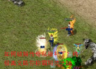 ����ƽ⴫��˽���������ռ���������ư��귨��½