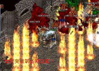 ���ͻ��������ƿ����