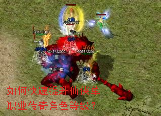 ��ο�������������ְҵ�����ɫ�ȼ���