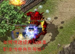 ��ο�������������ְҵ�����ɫ�ȼ���