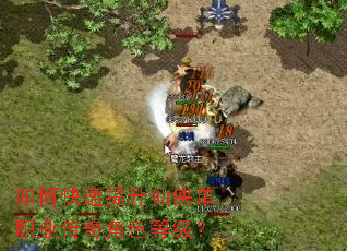 ��ο�������������ְҵ�����ɫ�ȼ���