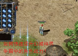 ��ο��������ó���������еĽ�ɫս����