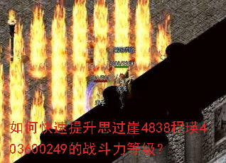 ��ο�������˼����4838����403600249��ս�����ȼ���