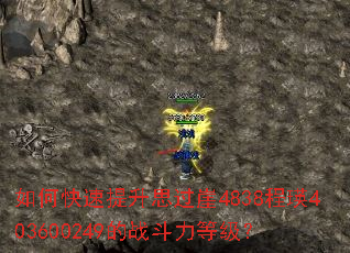 ��ο�������˼����4838����403600249��ս�����ȼ���