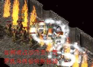 ��ι�ռɳ�Ϳˣ���Ұ�Ҷ��ռ���ʤ�ؼ�