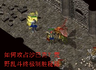 ��ι�ռɳ�Ϳˣ���Ұ�Ҷ��ռ���ʤ�ؼ�