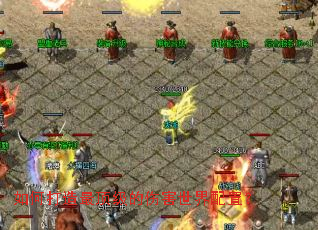 ��δ���������˺��������ã�