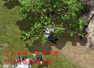 �����ȼ����ο��������ȼ��ư�ȫ����