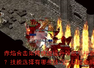 ����ϻ���ο��������ȼ�������������ô������ǿ������ѡ������Щ���ɣ��淨ȫ���������ưԴ���