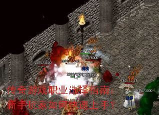 ������Ϸְҵѡ��ָ�ϣ����������ο������֣�