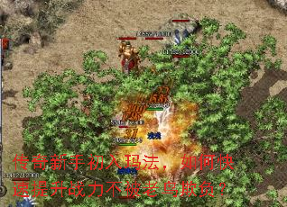 �������ֳ����귨����ο�������ս�����������۸���