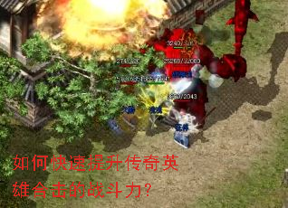 ��ο�����������Ӣ�ۺϻ���ս������