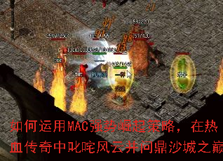 �������MACǿ��������ԣ�����Ѫ������߳����Ʋ��ʶ�ɳ��֮�ۣ�