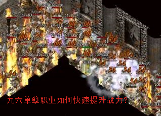 ��������ְҵ��ο�������ս����