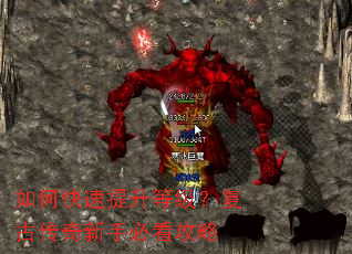 ��ο��������ȼ������Ŵ������ֱؿ�����