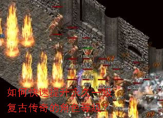 ��ο�����������һ�����Ŵ���Ľ�ɫ�ȼ���