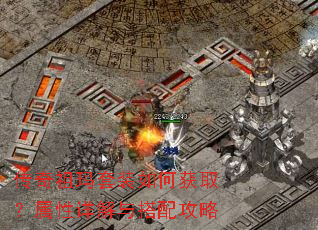 ����������װ��λ�ȡ�������������乥��