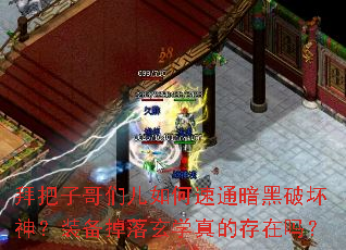 �ݰ��Ӹ��Ƕ������ͨ�����ƻ���װ��������ѧ��Ĵ�����