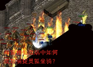 �������΢������γɹ���׽������