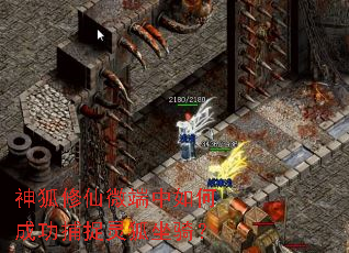 �������΢������γɹ���׽������