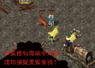 �������΢������γɹ���׽������