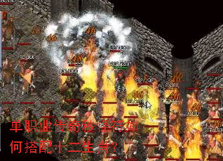 ��ְҵ������ַ���δ���ʮ����Ф��