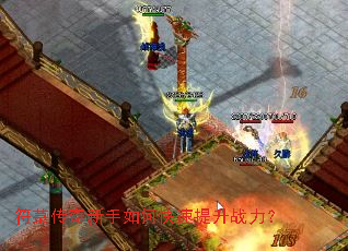 ��Ǌ����������ο�������ս����