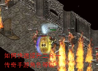 ��ο�����������һ�������ν�ɫ�ȼ���