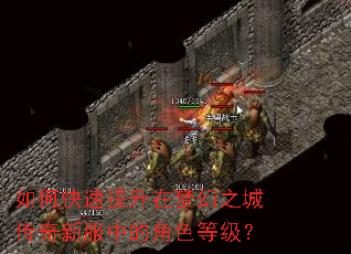 ��ο����������λ�֮�Ǵ����·��еĽ�ɫ�ȼ���