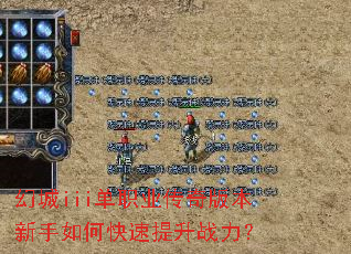 �ó�iii��ְҵ����汾������ο�������ս����