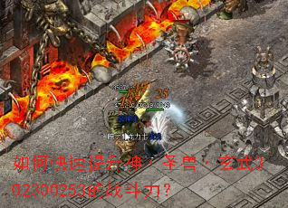 ��ο���������ʥ�ޡ�����302300253��ս������