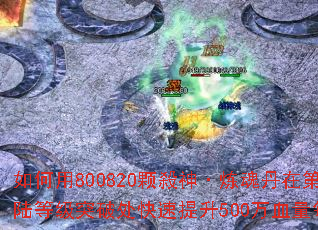 如何用800820颗殺神·炼魂丹在第四大陆等级突破处快速提升500万血量每级? 如何用800820颗殺神·炼魂丹在第四大陆等级突破处快速提升500万血量每级?