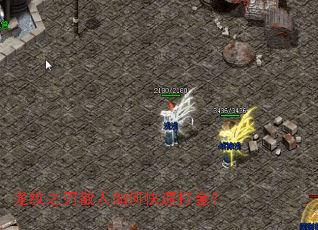 ����֮��ɢ����ο��ٴ��