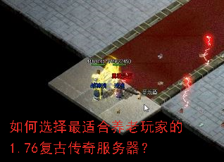 ���ѡ�����ʺ�������ҵ�1.76���Ŵ����������