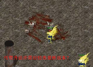 �����������辭������°汾��