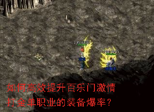 ��θ�Ч���������ż�����ְҵ��װ�����ʣ�