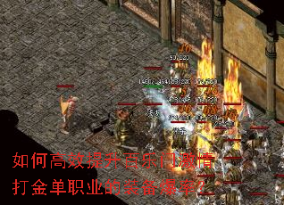 ��θ�Ч���������ż�����ְҵ��װ�����ʣ�