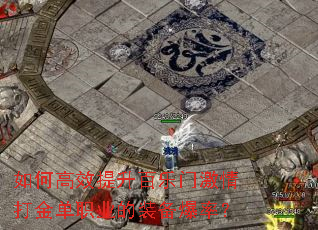 ��θ�Ч���������ż�����ְҵ��װ�����ʣ�