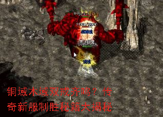 铜域木域双戒齐鸣?传奇新服制胜秘籍大揭秘 铜域木域双戒齐鸣?传奇新服制胜秘籍大揭秘