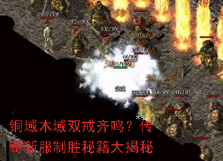 ͭ��ľ��˫�������������·���ʤ�ؼ������