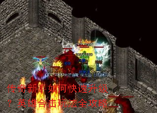 ����������ο���������Ӣ�ۺϻ��淨ȫ����