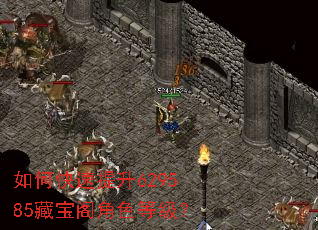 如何快速提升629585藏宝阁角色等级? 如何快速提升629585藏宝阁角色等级?