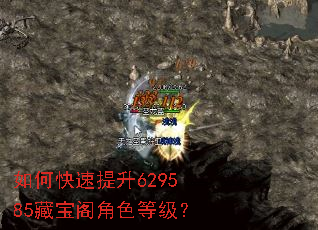 如何快速提升629585藏宝阁角色等级? 如何快速提升629585藏宝阁角色等级?