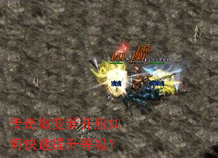 ����΢���¿�����ο��������ȼ���