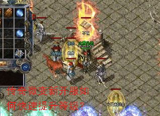 ����΢���¿�����ο��������ȼ���