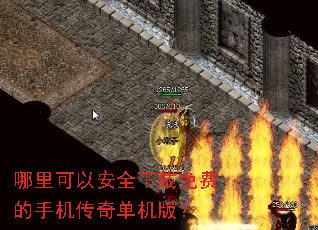 ������԰�ȫ������ѵ��ֻ����浥���棿