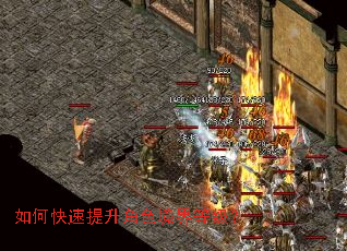 ��ο���������ɫ����ȼ���