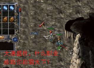 ����ʢ����ʲôְҵ������ư����£�